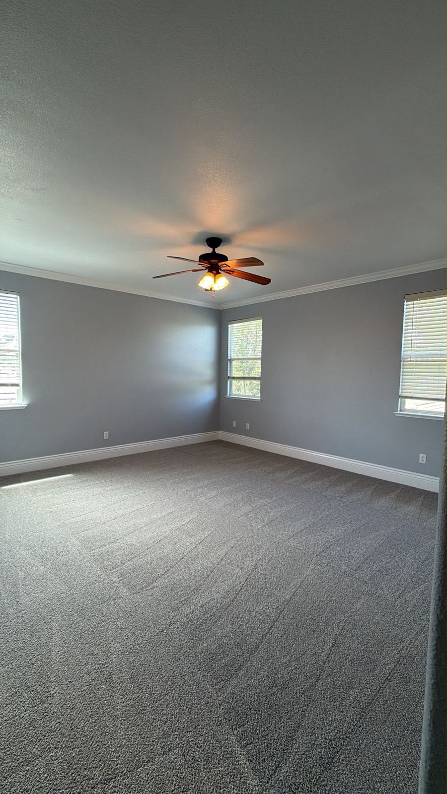Empty carpeted room refreshed for a move-in cleaning